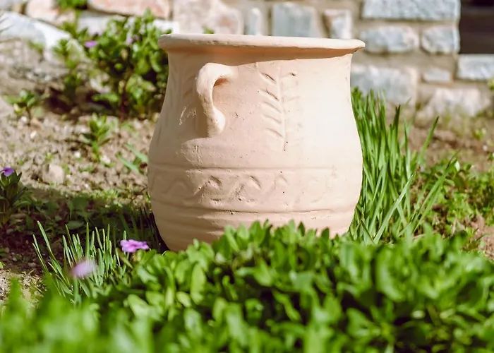 Limanaki Elia (Laconia)